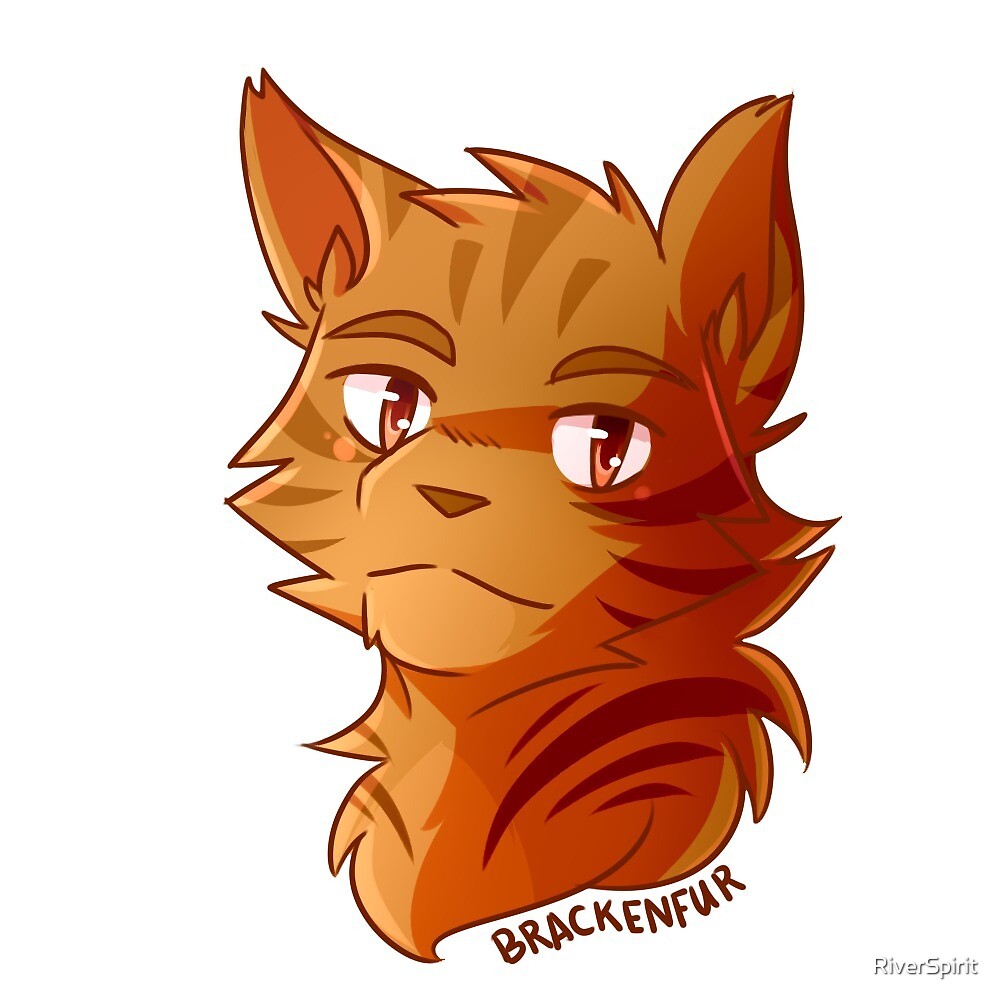 Jayfeather Bio (warrior cats)