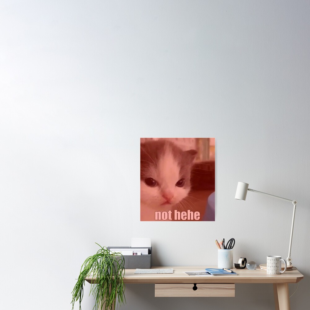 Cute Angry Cat Not Hehe Meme Poster For Sale By Pusla Redbubble 6781