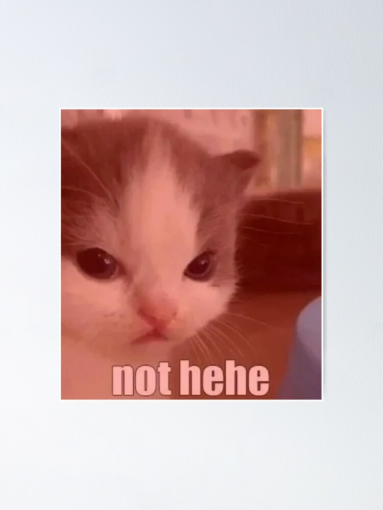 Cute Angry Cat Not Hehe Meme Poster For Sale By Pusla Redbubble 6534