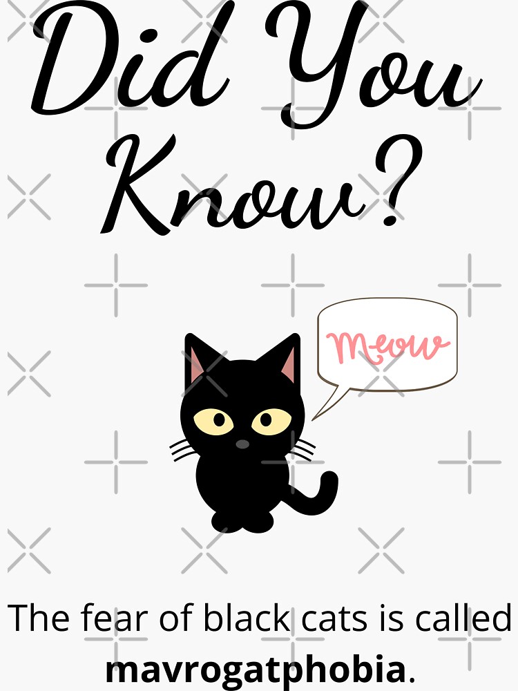 funny-fun-facts-fun-facts-to-share-useless-information-black-cat