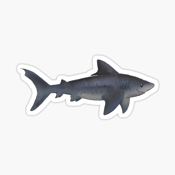 Item preview, Sharktober day 10 tiger shark designed and sold by dinosaphira99.