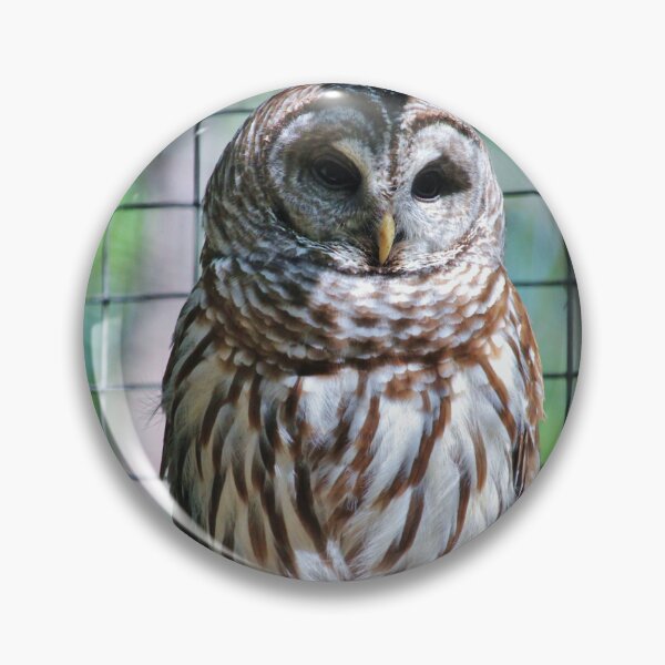 Item preview, Barred Owl designed and sold by Cynthia48.