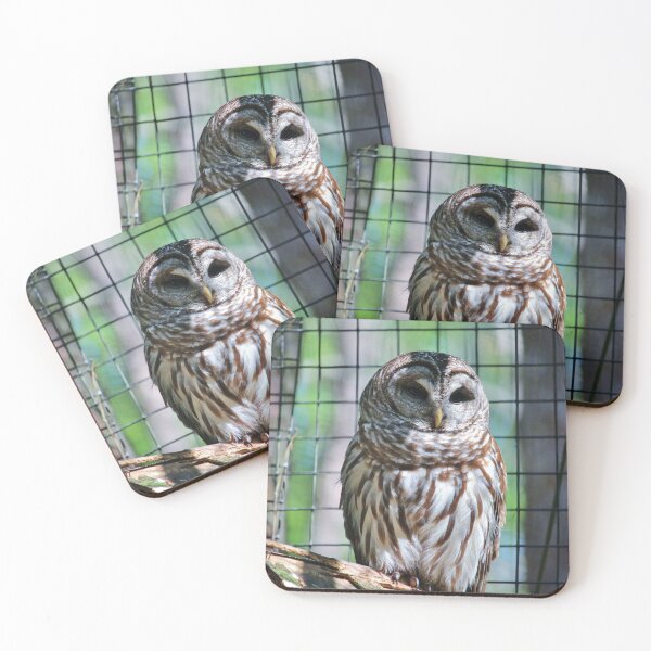 Item preview, Barred Owl designed and sold by Cynthia48.