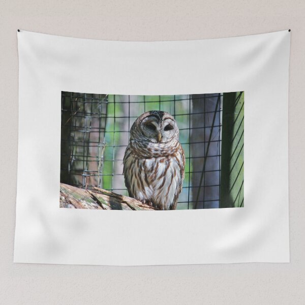Item preview, Barred Owl designed and sold by Cynthia48.