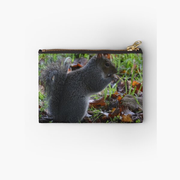 Item preview, Squirrel at Sidford, Devon UK designed and sold by lynn carter.