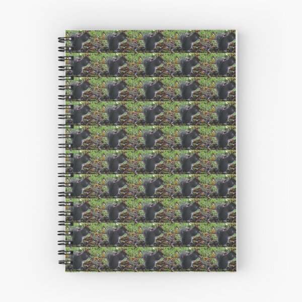 Item preview, Squirrel at Sidford, Devon UK designed and sold by lynn carter.