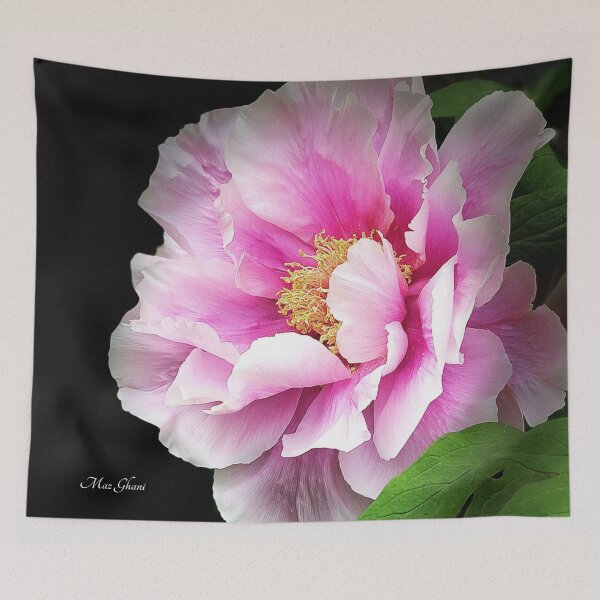 Item preview, Athena designed and sold by MazGhani.