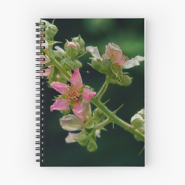 Item preview, Blackberry flowers designed and sold by Francespoppy.
