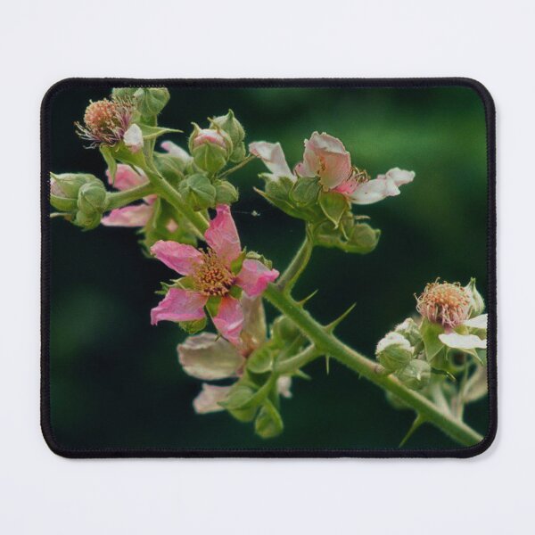 Item preview, Blackberry flowers designed and sold by Francespoppy.