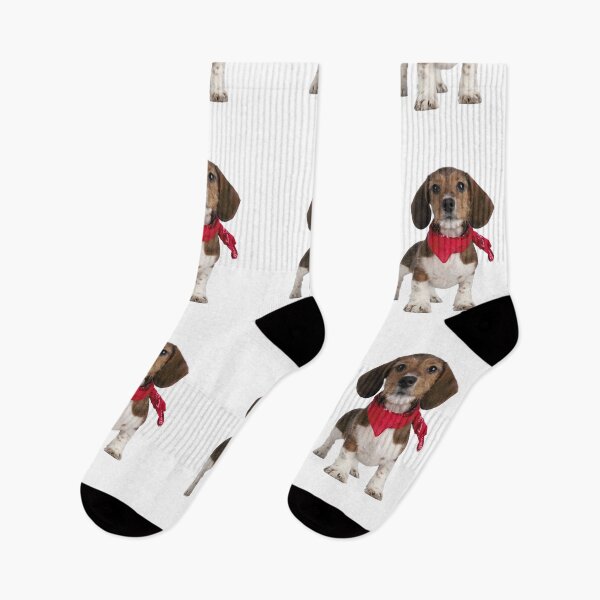 Item preview, Piebald dachshund puppies designed and sold by The Love Quill.