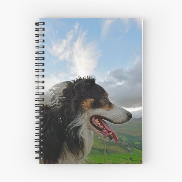 Item preview, Nadolig Llawen. designed and sold by Michael Haslam.