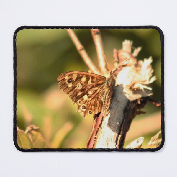 Item preview, Speckled Wood Butterfly designed and sold by Francespoppy.