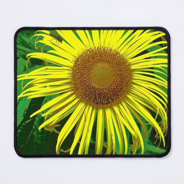 Item preview, Sunflower designed and sold by Shulie1.