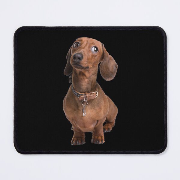 Item preview, Spotted dachshund puppies designed and sold by The Love Quill.