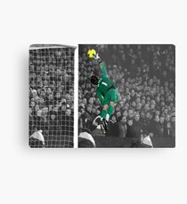 De Gea Nr.1 Metallbild