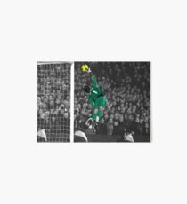 Lámina de exposición De Gea No.1
