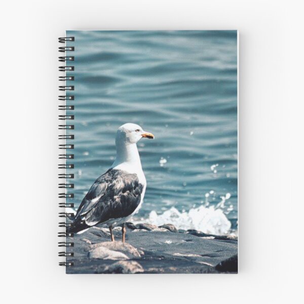 Item preview, Western gull designed and sold by Francespoppy.