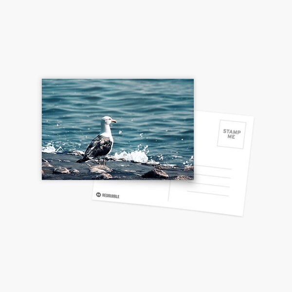 Item preview, Western gull designed and sold by Francespoppy.