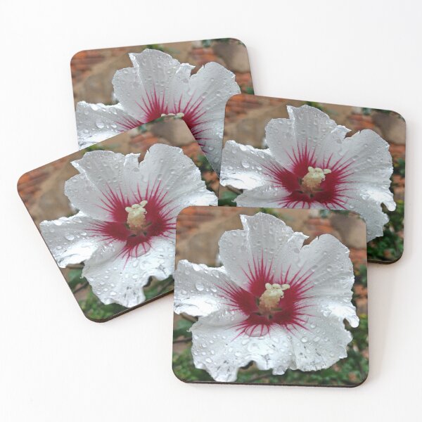 Artikelvorschau, Hibiskus nasse Blume entworfen und verkauft von AdioraStore.