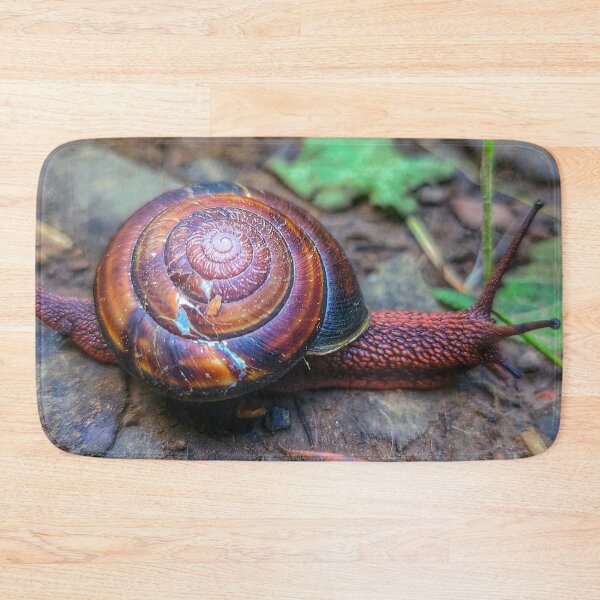 Item preview, Rainbow Snail Crossing - Animals and Critters designed and sold by MistyMorningsOR.