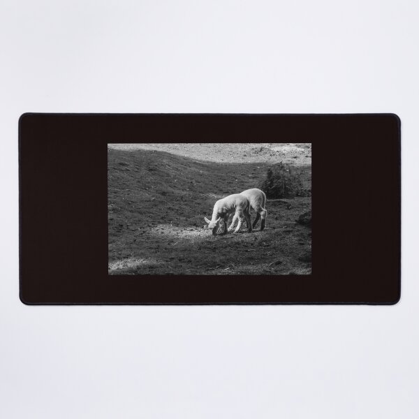 Item preview, The lambs at Maplewood Farm 1 designed and sold by Gabriele Maurus.