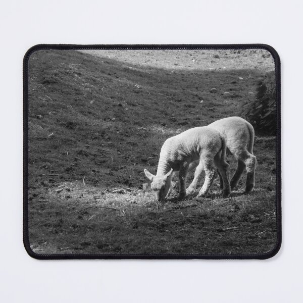 Item preview, The lambs at Maplewood Farm 1 designed and sold by Gabriele Maurus.