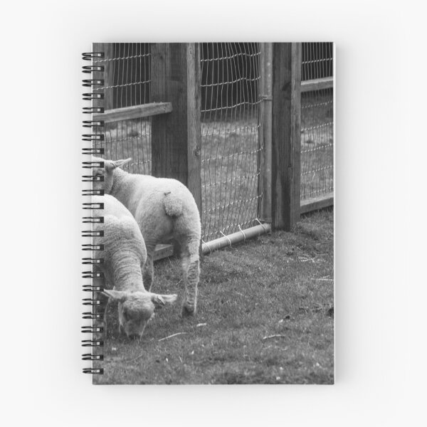 Item preview, The lambs at Maplewood Farm 2 designed and sold by Gabriele Maurus.