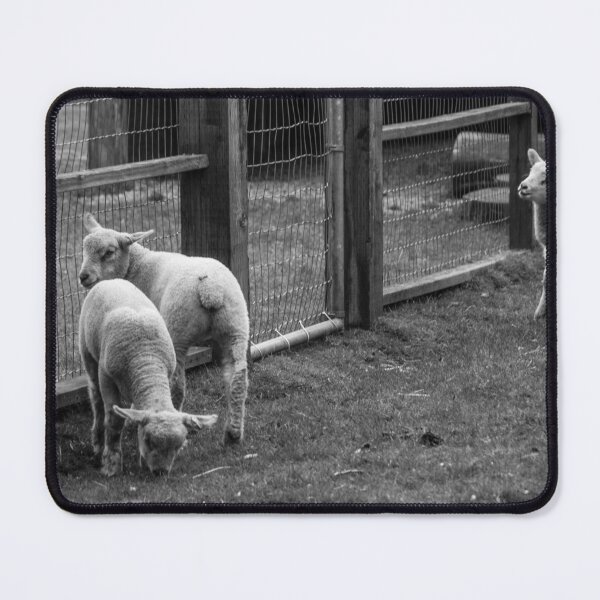 Item preview, The lambs at Maplewood Farm 2 designed and sold by Gabriele Maurus.