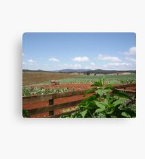 Rural Scene Leinwanddruck