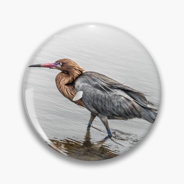 Item preview, Reddish Egret Walking designed and sold by VCBrandt.