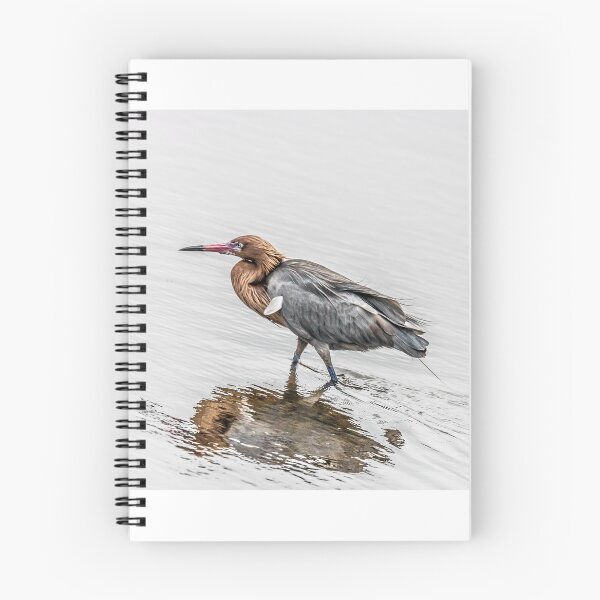 Item preview, Reddish Egret Walking designed and sold by VCBrandt.