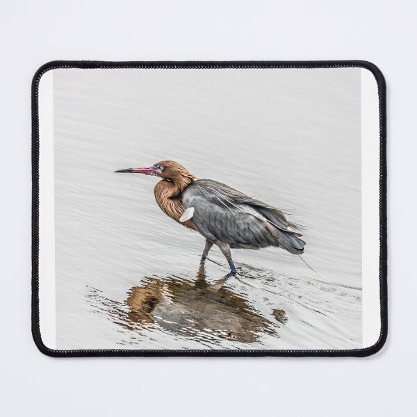 Item preview, Reddish Egret Walking designed and sold by VCBrandt.
