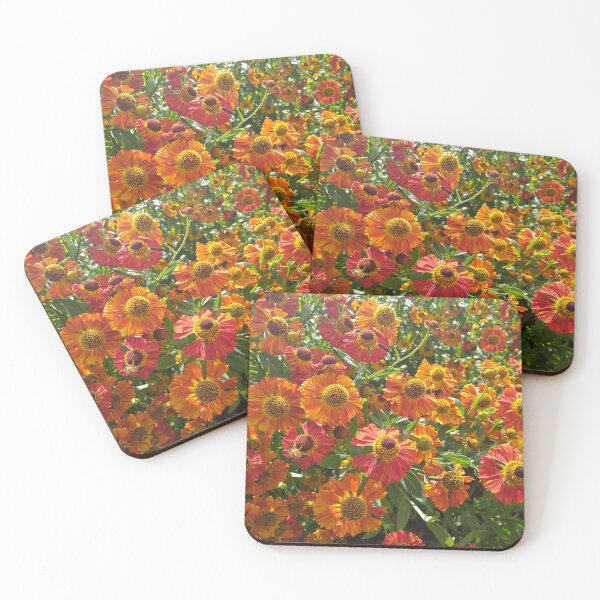 Item preview, Helenium Flowers designed and sold by Floral-Art.