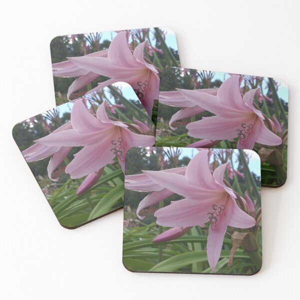 Item preview, Pink Crinum Flowers designed and sold by Floral-Art.