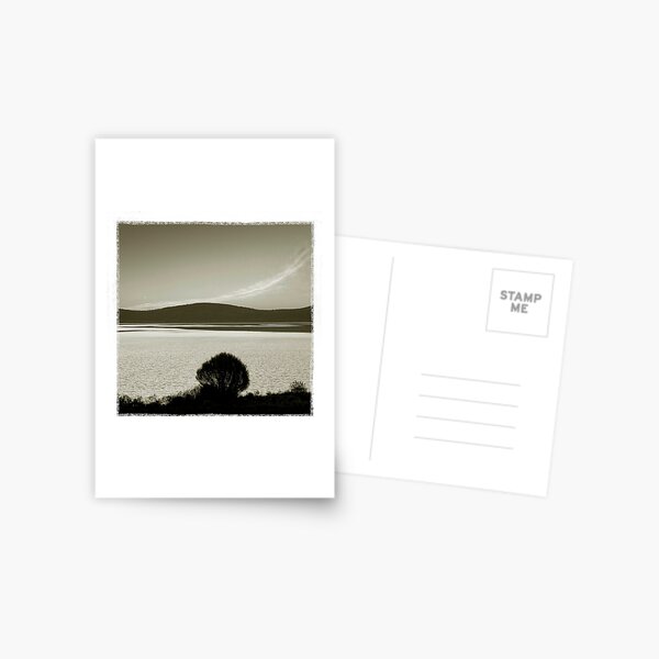 Sky & Earth-8 Postcard