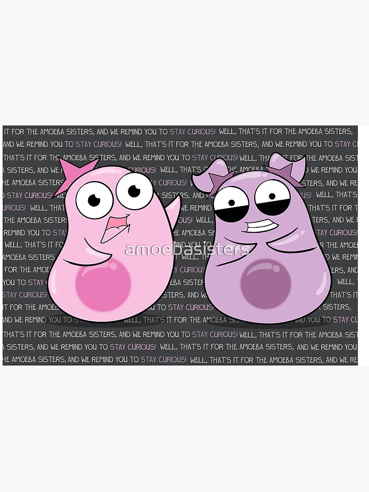 Thumbnail 4 of 4, Zipper Pouch, Amoeba Sisters Catchphrase designed and sold by amoebasisters.
