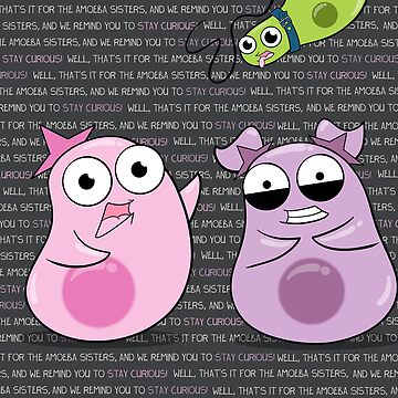 Artwork thumbnail, Amoeba Sisters Catchphrase by amoebasisters