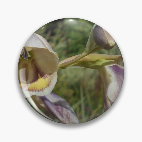 Item preview, Gladiolus papilio designed and sold by Floral-Art.