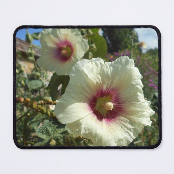 Item preview, Cream coloured Hollyhocks designed and sold by Floral-Art.