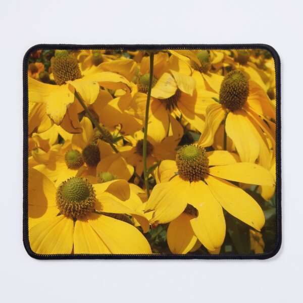 Item preview, Rudbeckia laciniata designed and sold by Floral-Art.