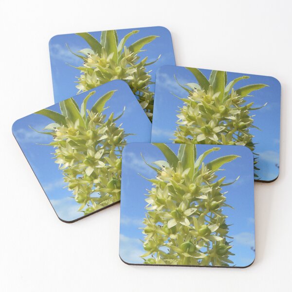 Item preview, Eucomis seed head designed and sold by Floral-Art.