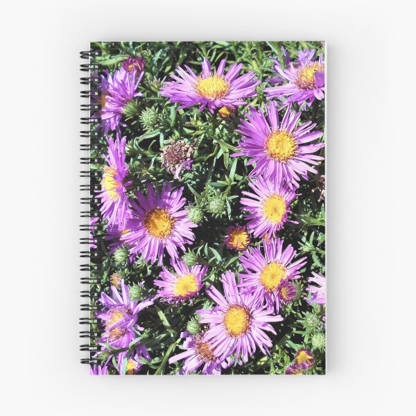 Item preview, Purple Aster Flowers designed and sold by Floral-Art.