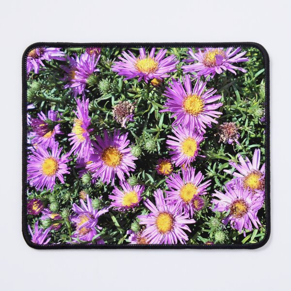 Item preview, Purple Aster Flowers designed and sold by Floral-Art.