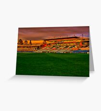 "Go Cats" Greeting Card