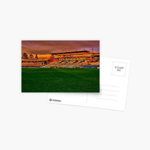 "Go Cats" Postcard