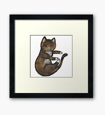 tortie Framed Print