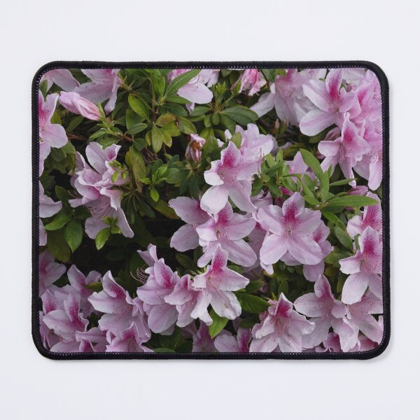 Item preview, Plentiful Pink Pastel Petals! designed and sold by NancyKHajjar.