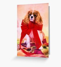 Christmas Joy Of A Cavalier King Charles Greeting Card