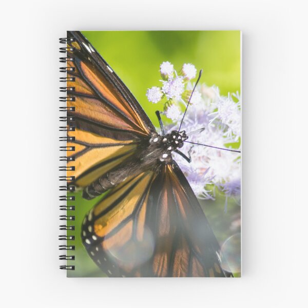 Item preview, Monarch Wings designed and sold by Jacquelie.