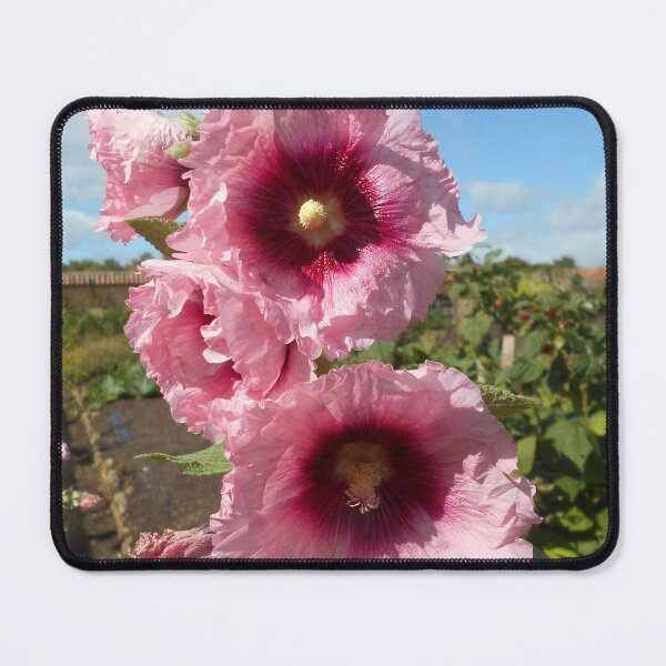 Item preview, Pink Hollyhock designed and sold by Floral-Art.